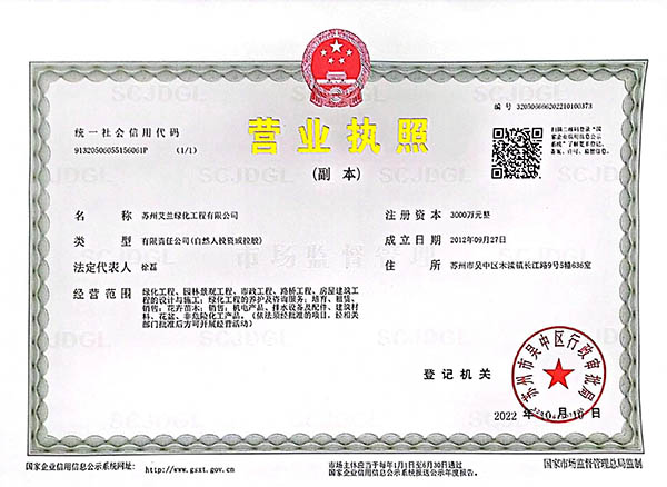 交易牌照